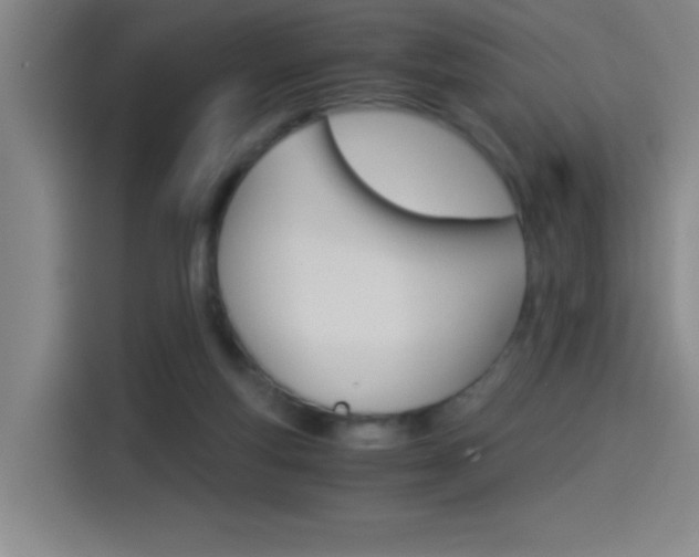 X0000114540163200910190938