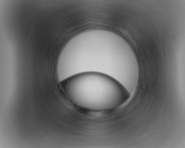 X0000114540170200910190938