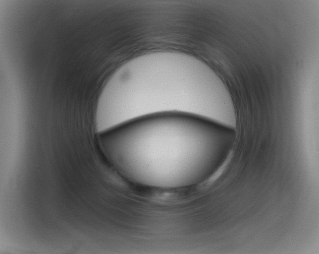 X0000114540174200910190938