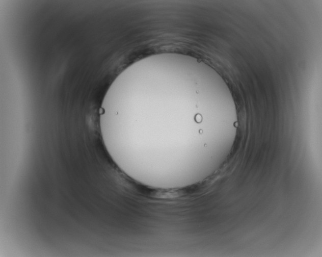 X0000114540181200910190938