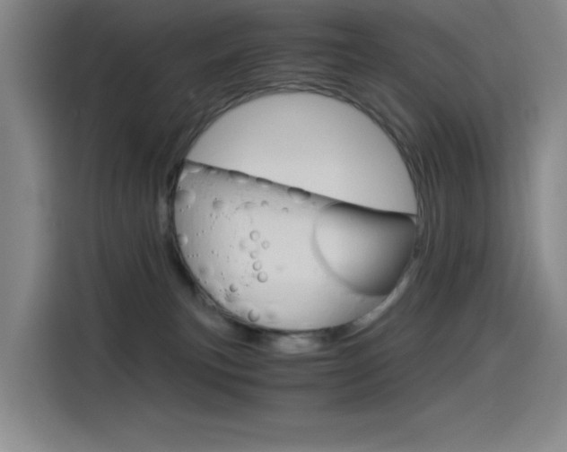 X0000114540183200910190938