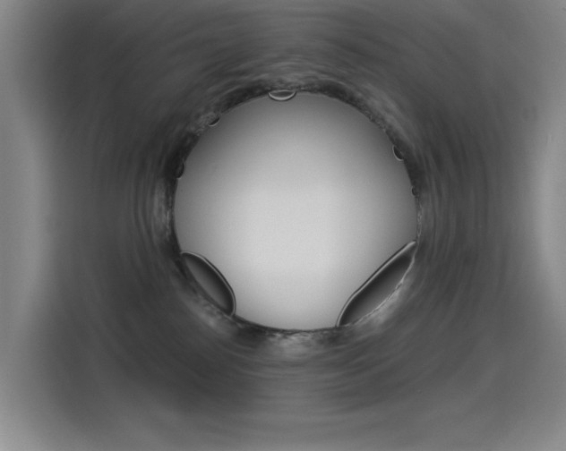 X0000114540186200910190938