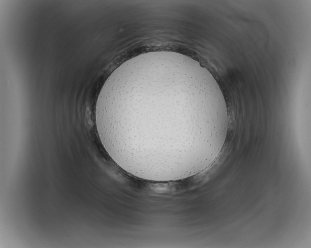 X0000114540187200910190938