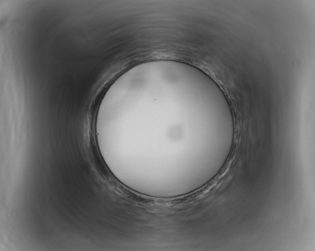 X0000114540194200910190938