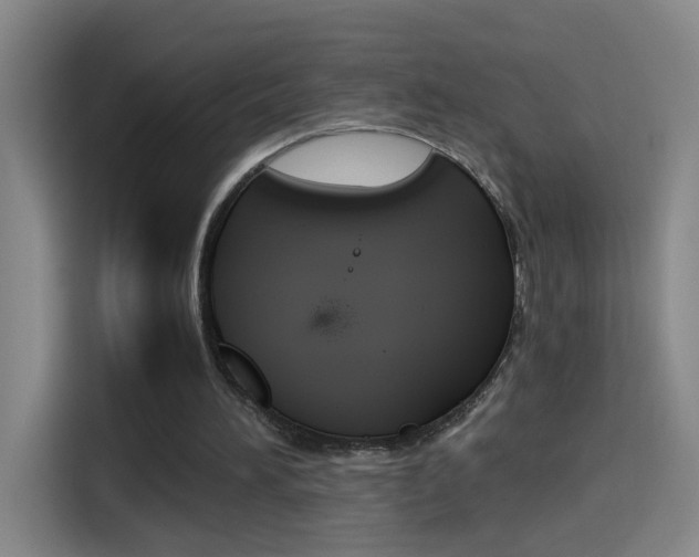 X0000114540196200910190938