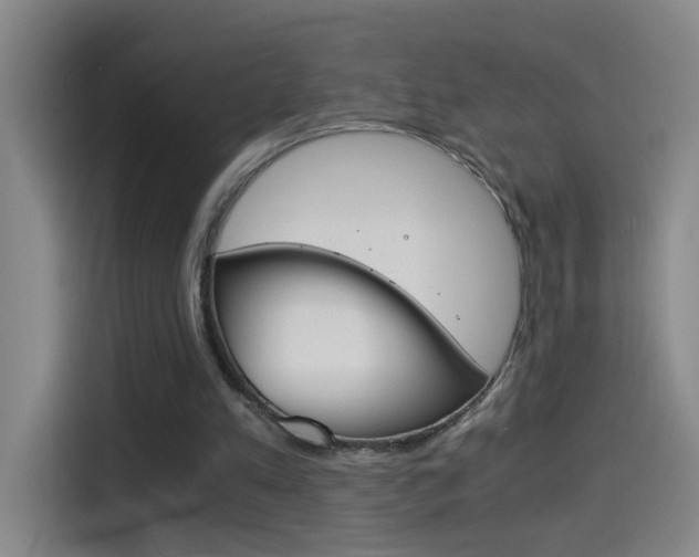 X0000114540197200910190938