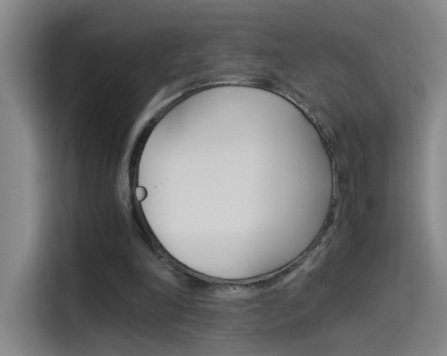 X0000114540198200910190938