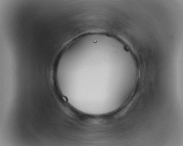 X0000114540201200910190938