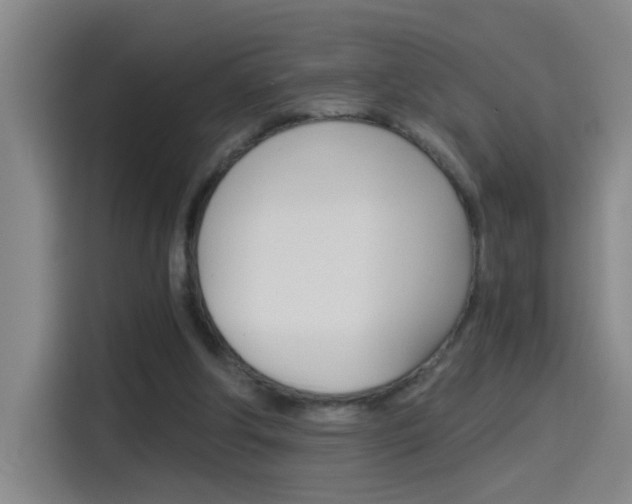 X0000114540202200910190938