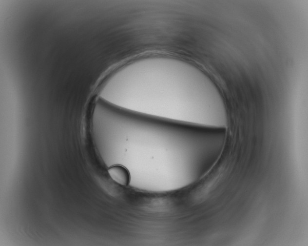 X0000114540204200910190938