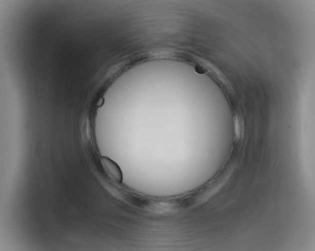 X0000114540205200910190938