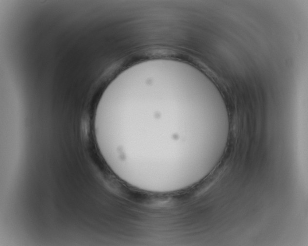 X0000114540206200910190938