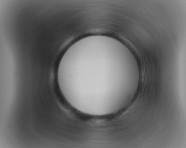 X0000114540208200910190938