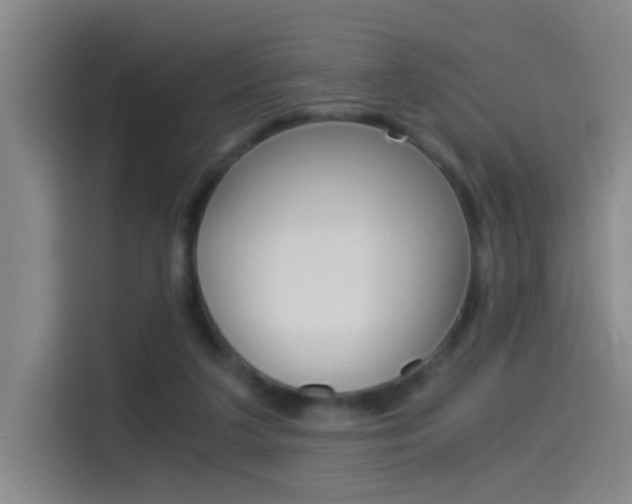 X0000114540211200910190938