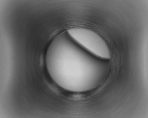 X0000114540216200910190938