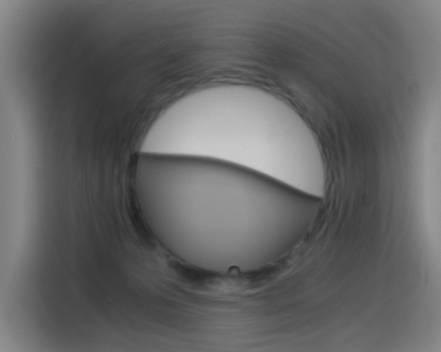 X0000114540223200910190938