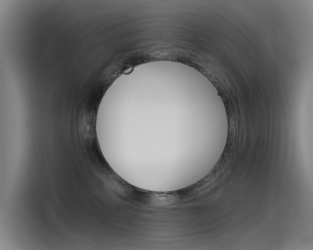 X0000114540234200910190937