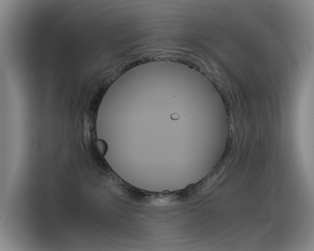 X0000114540235200910190937