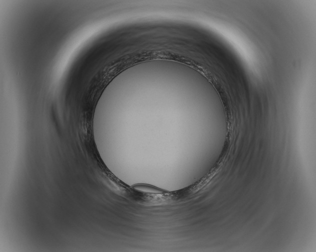 X0000114540239200910190937