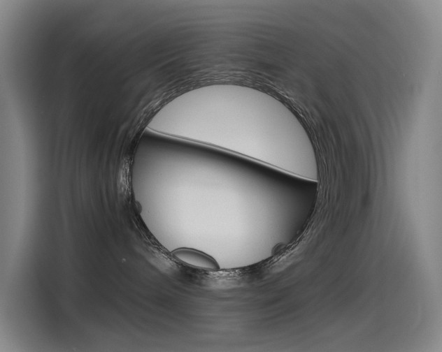 X0000114540240200910190937