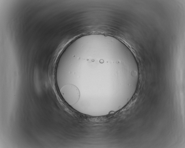 X0000114540241200910190937