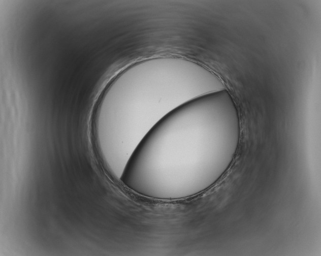 X0000114540242200910190937