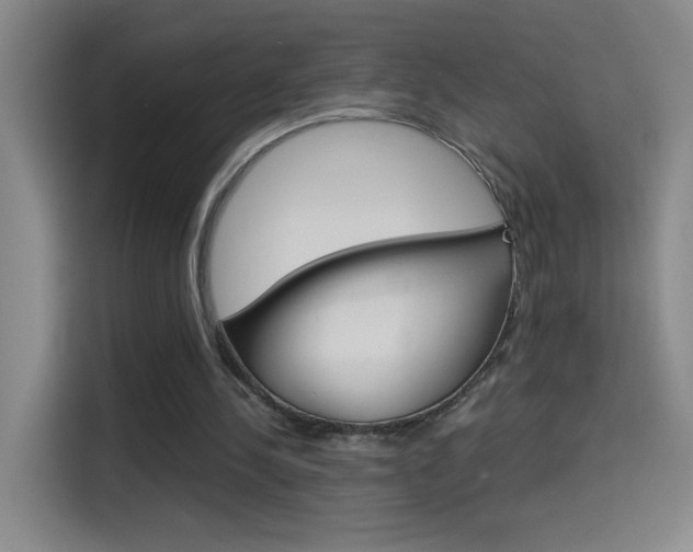 X0000114540244200910190937