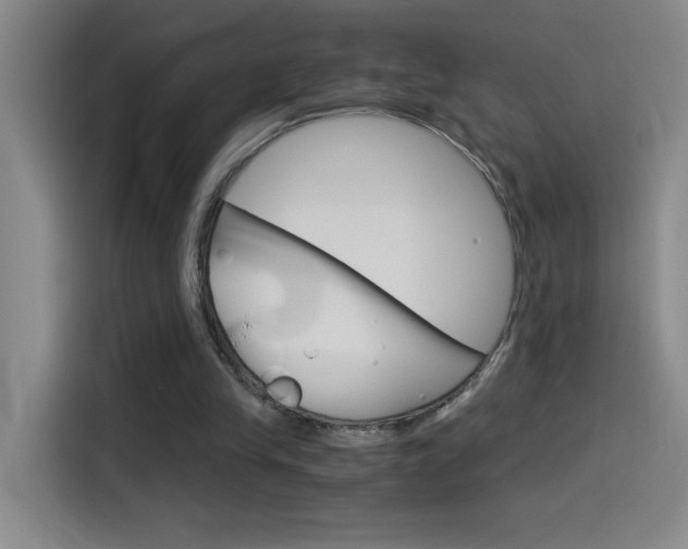 X0000114540245200910190937