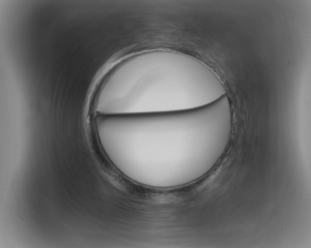 X0000114540246200910190937