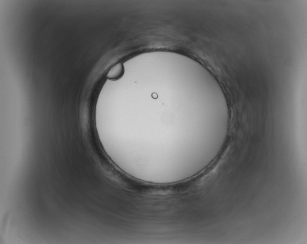 X0000114540247200910190937