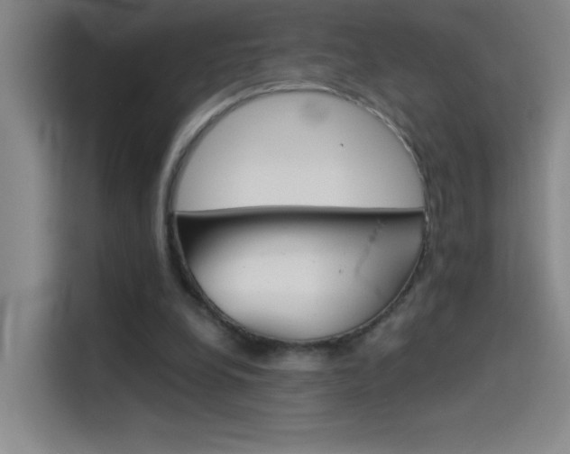 X0000114540248200910190937