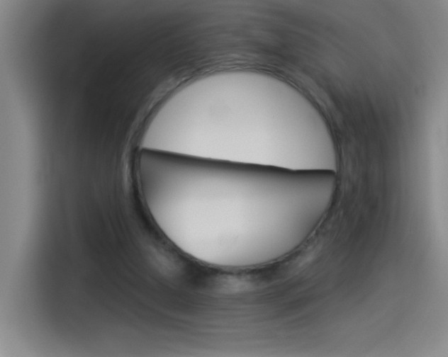 X0000114540250200910190937