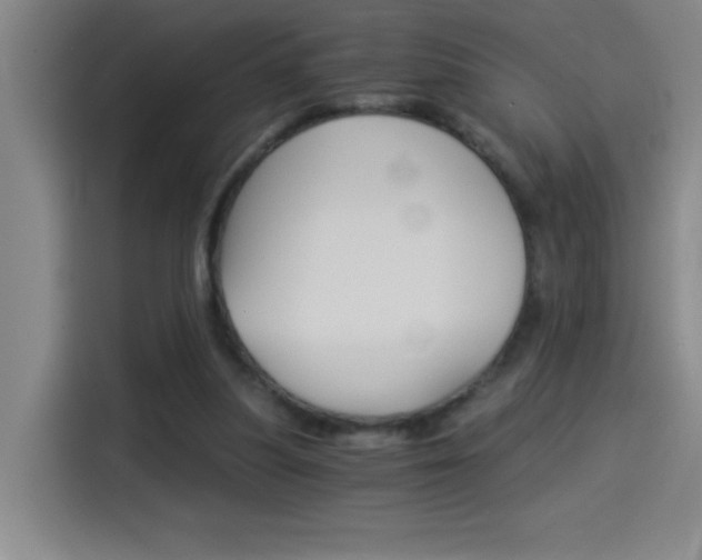 X0000114540251200910190937