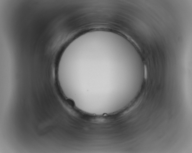 X0000114540253200910190937