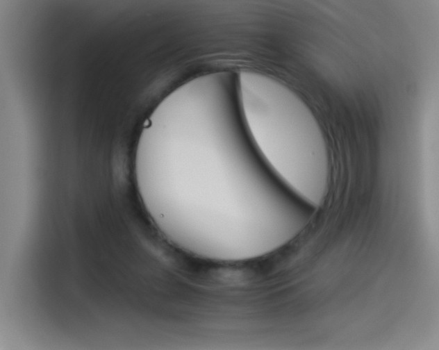 X0000114540255200910190937