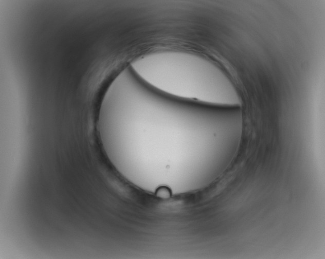 X0000114540257200910190937