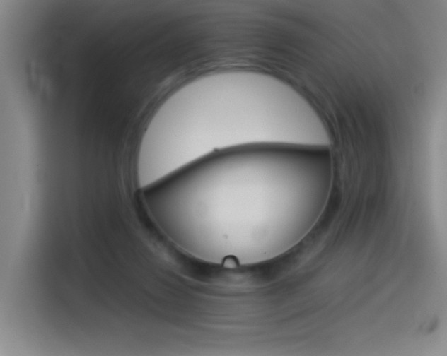 X0000114540260200910190937