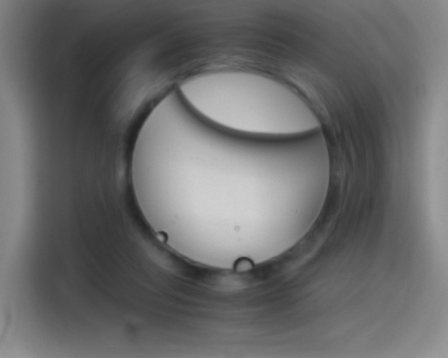 X0000114540261200910190937