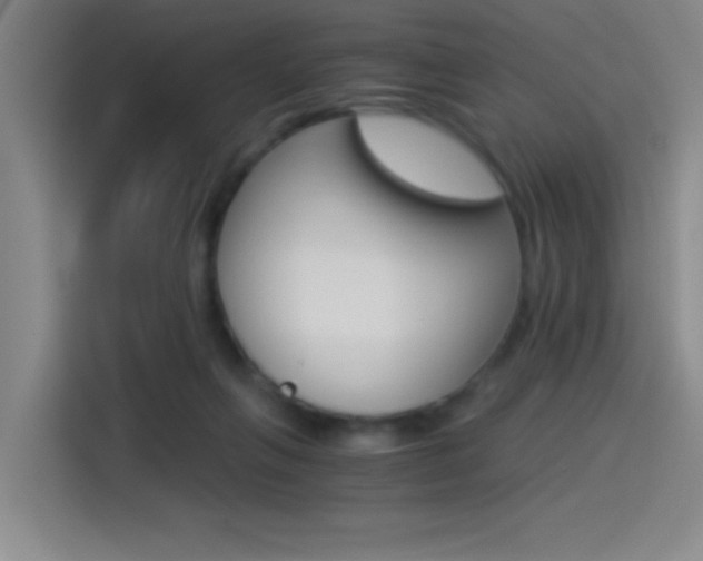 X0000114540263200910190937