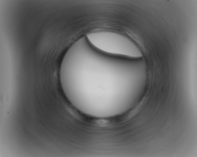 X0000114540265200910190937