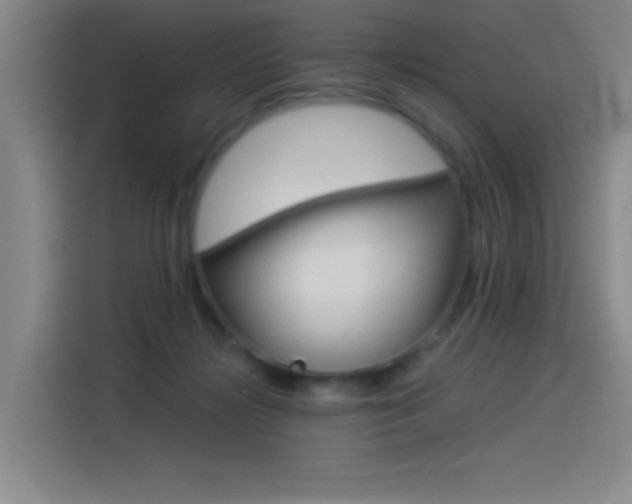 X0000114540268200910190937