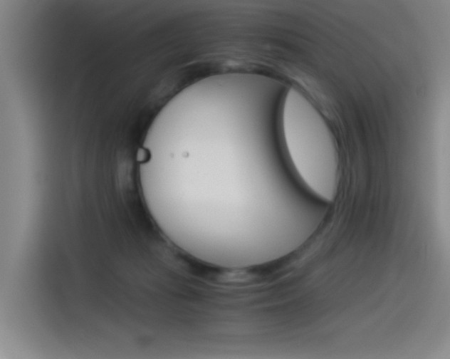 X0000114540269200910190937