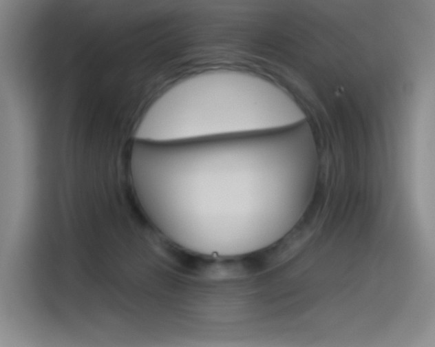 X0000114540270200910190937