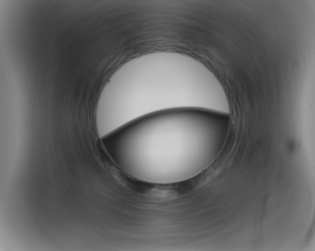 X0000114540280200910190937