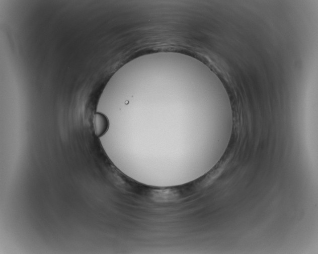 X0000114540281200910190937