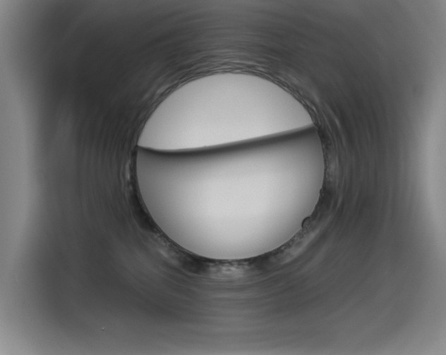 X0000114540282200910190937