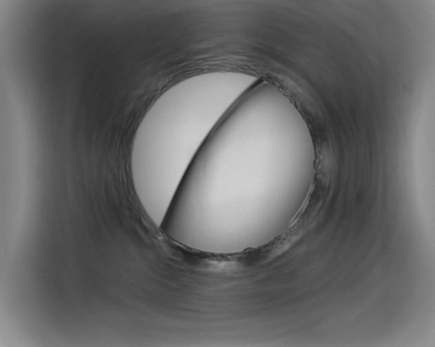 X0000114540284200910190937