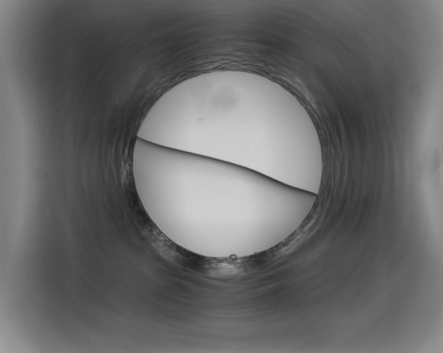 X0000114540285200910190937