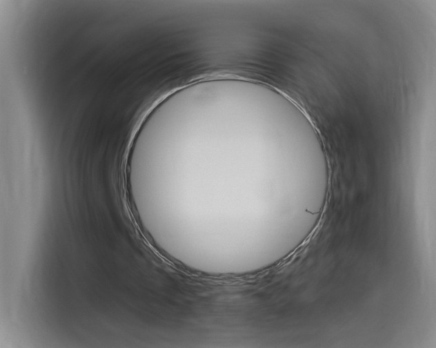 X0000114540289200910190937