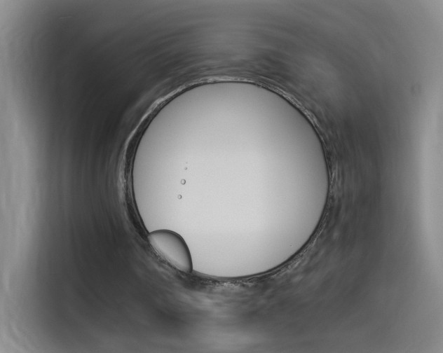 X0000114540290200910190937